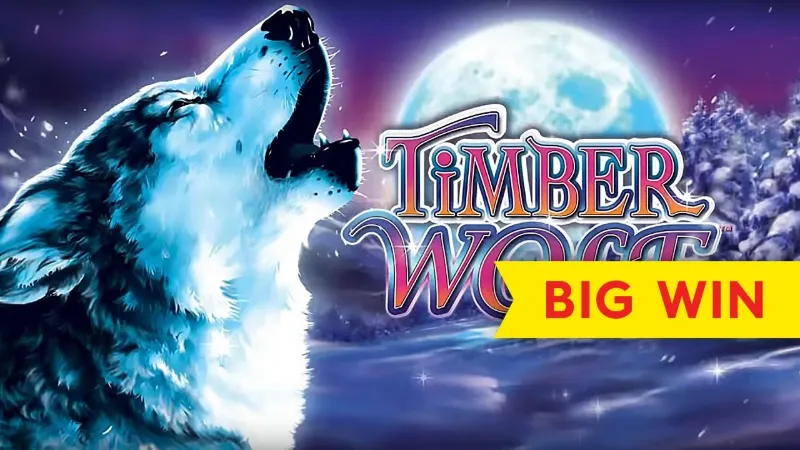 Timber Wolf ဂိမ်းနှင့် ထူးခြားသော အချက်များကို ရှာဖွေလေ့လာပါ။